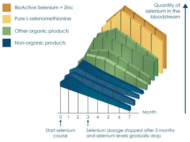 Graph showing better absorption of Pharma Nord's selenium compared to other selenium products